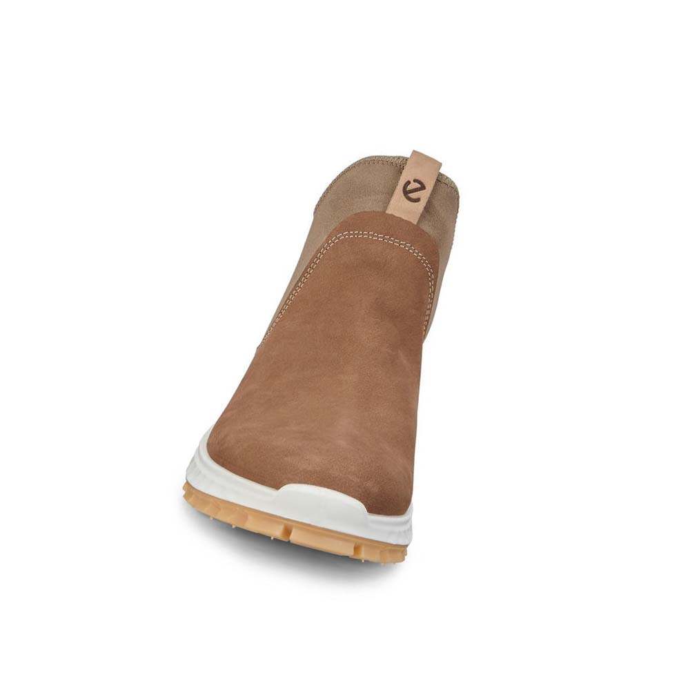 Ecco Exostrike Chelsea Gtx Støvler Dame Brune | NO 11WNB